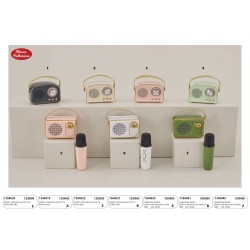 RADIO BLOETOOTH E KARAOKE